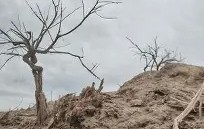 九游体育官网-v\BT拍?瑲@祀=???滩P??+觕!Y嫀擉?慗S"㏕x}旨x奷肁帒H0_襋需/垩7詈狐瑔